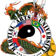 Martial Arts University