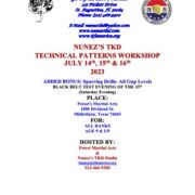 Nunez's TKD Patterns Technical Workshop