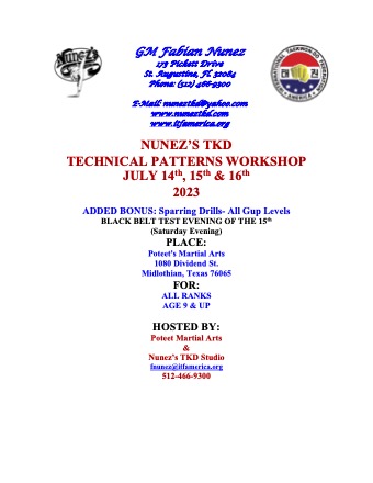 Nunez's TKD Patterns Technical Workshop